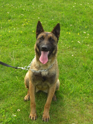 Kayzer
